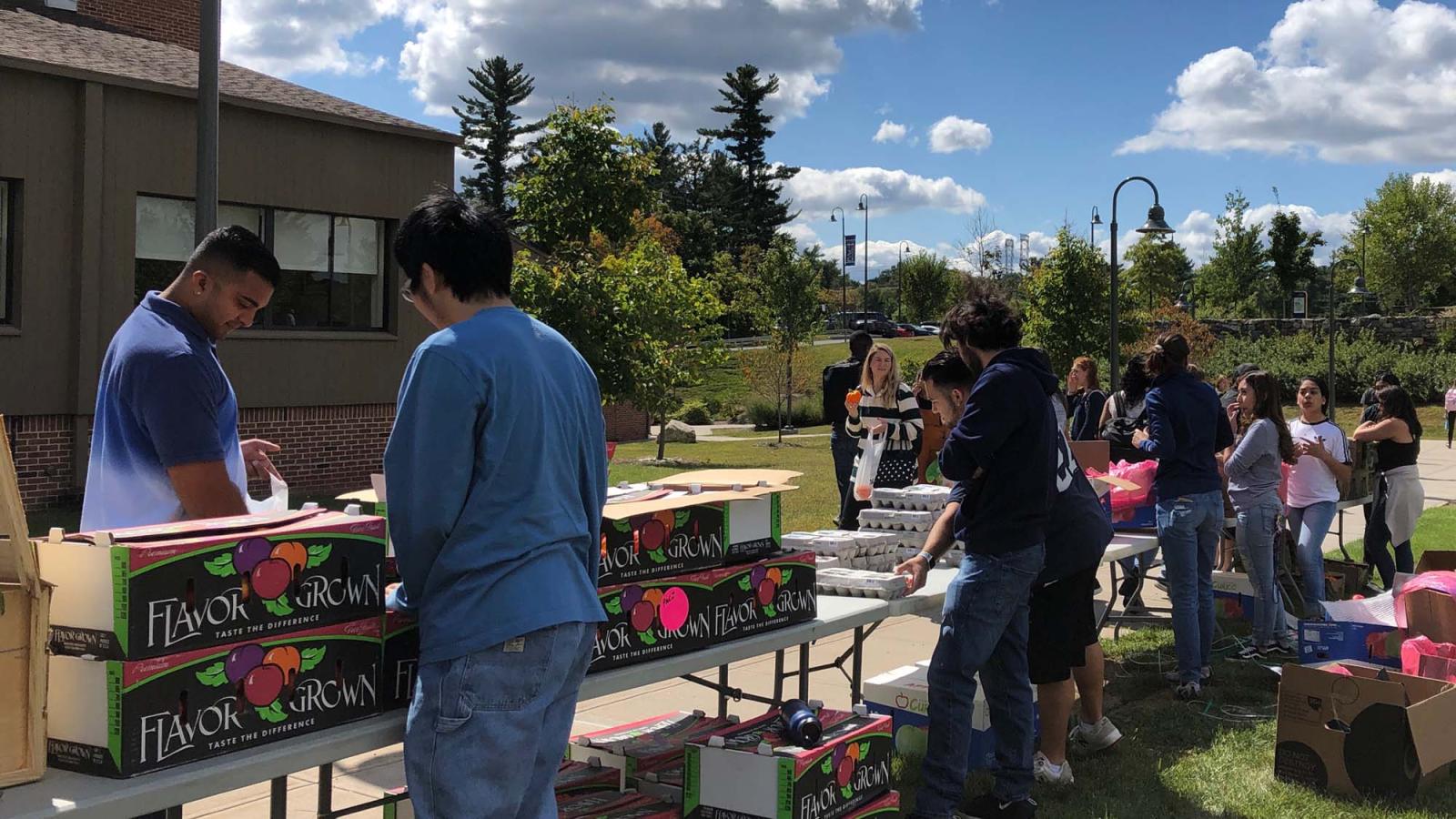 Members of Pace Community pick up groceries at the Mobile Food Pantry on the Pleasantville Campus