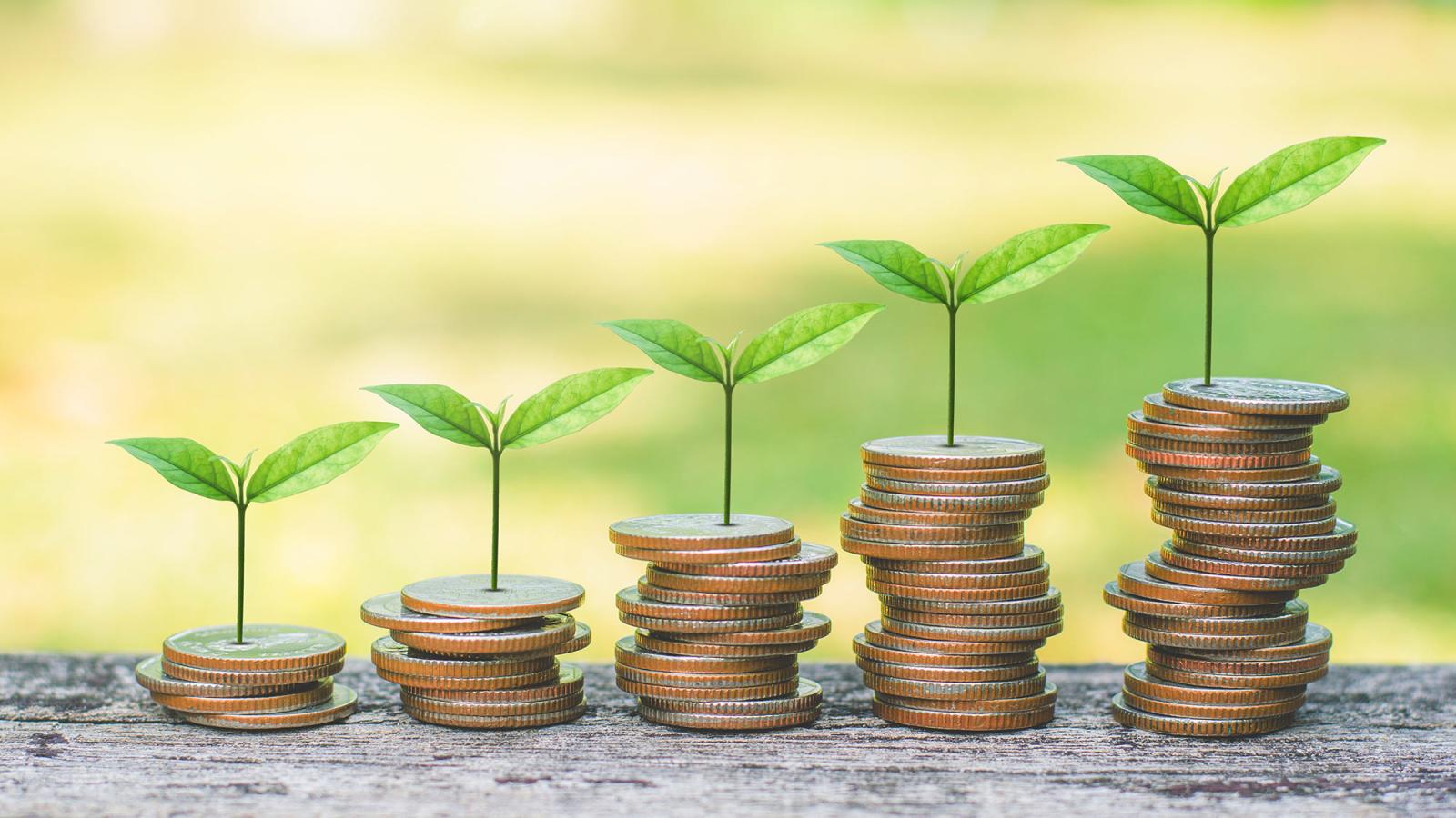 Coins with small plants growing out of them to represent environmentally friendly businesses