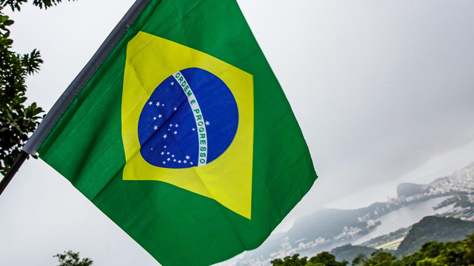 hand holding up a Brazilian flag