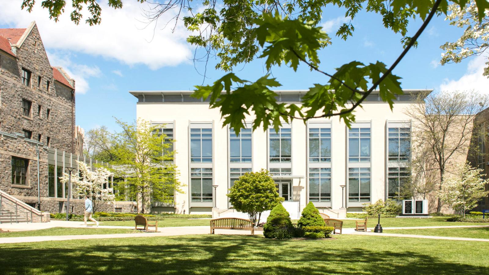 Elisabeth Haub School of Law campus