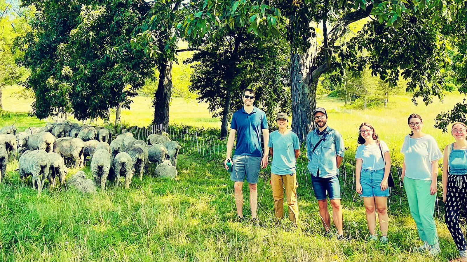 students on a farm next to sheep