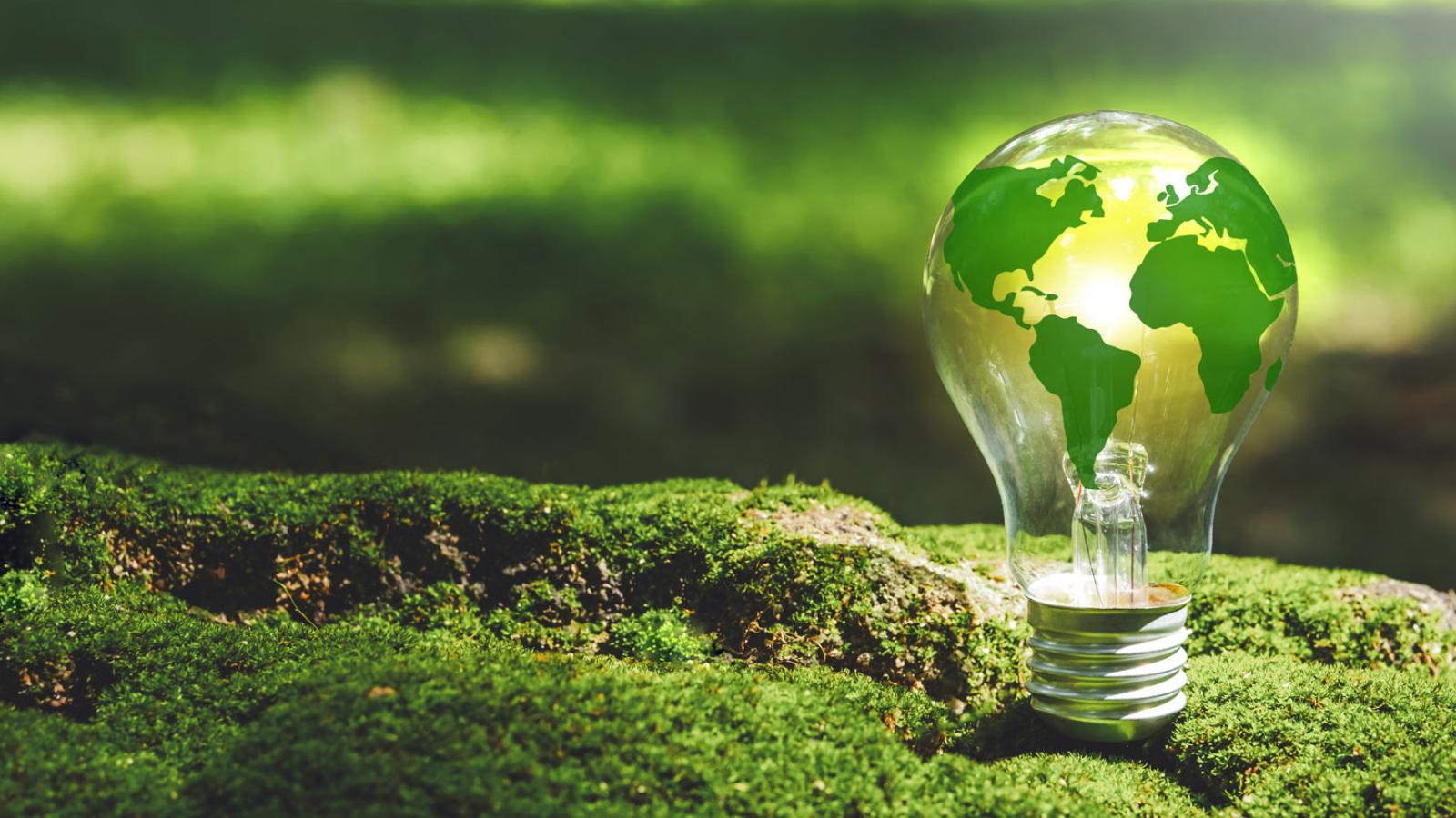 Lightbulb with globe imprinted on glass amidst a green landscape
