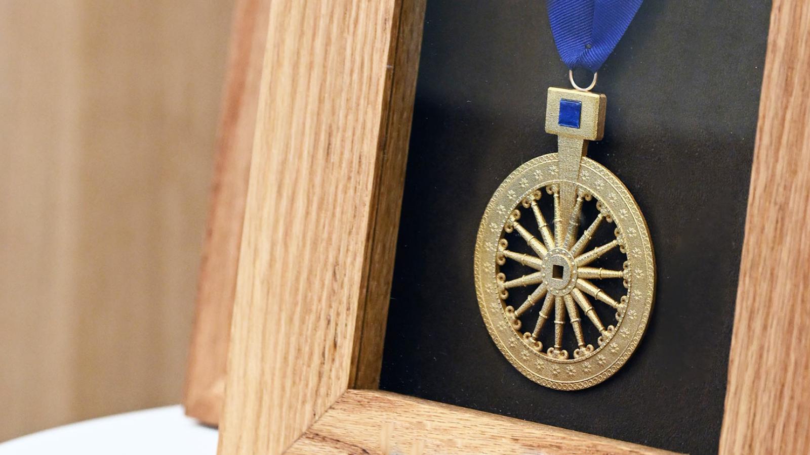 Elisabeth Haub School of Law Award Medal with a wooden backdrop