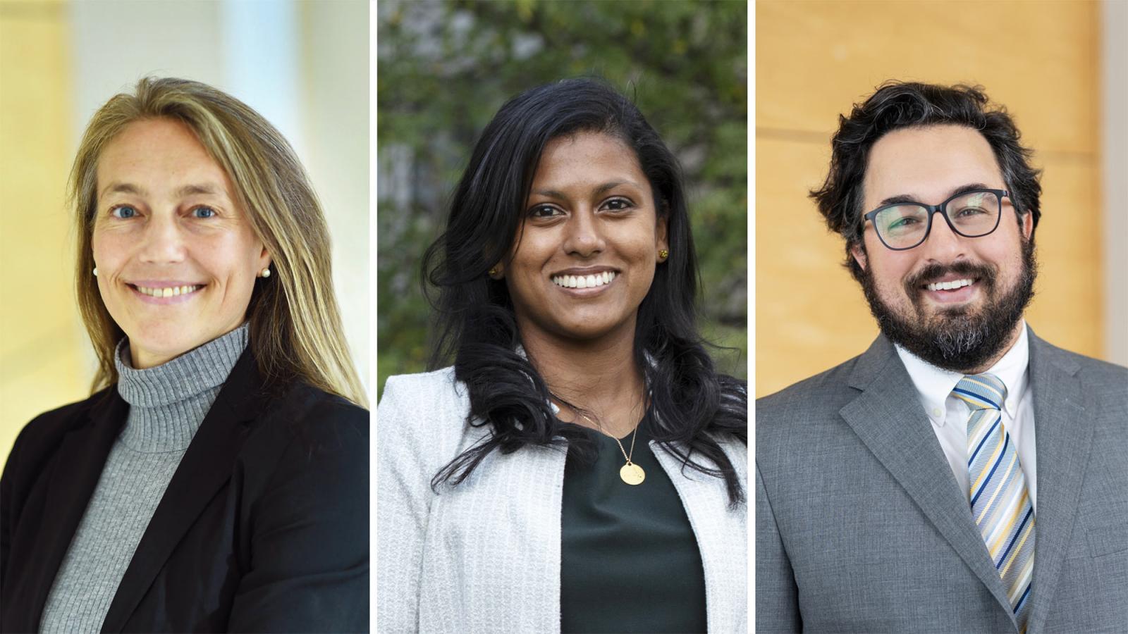 Elisabeth Haub School of Law Professors Kuh, Vithanage, and Galperin