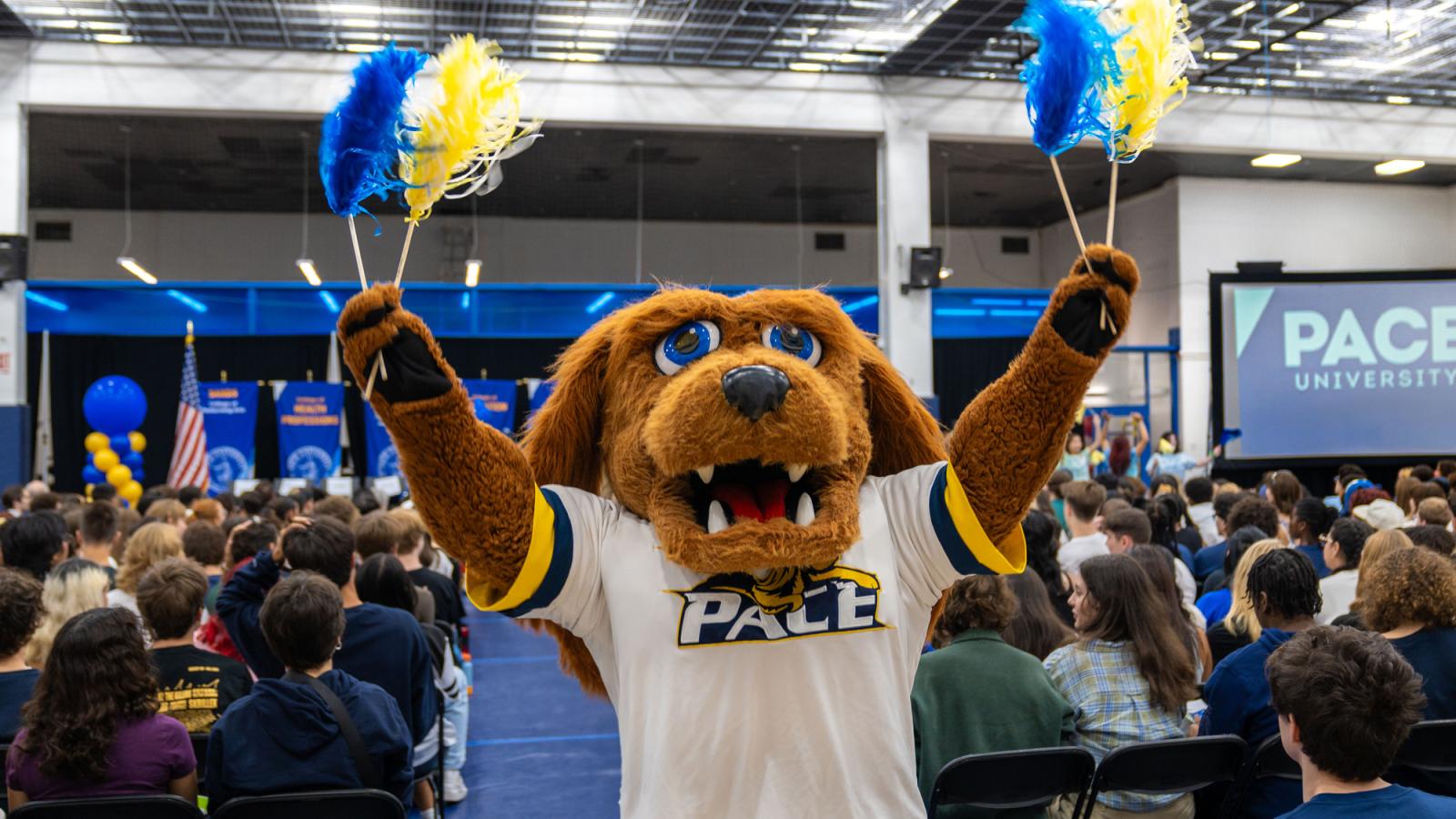 T-bone waving pom-poms at Convocation.
