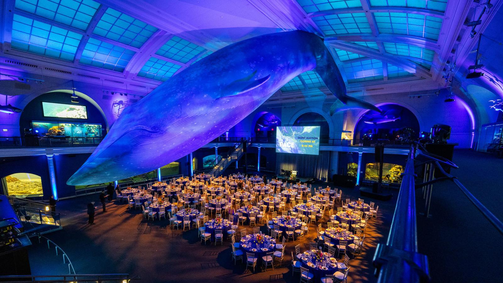 The 61st annual Spirit of Pace Awards dinner was held on June 12 at the American Museum of Natural History.