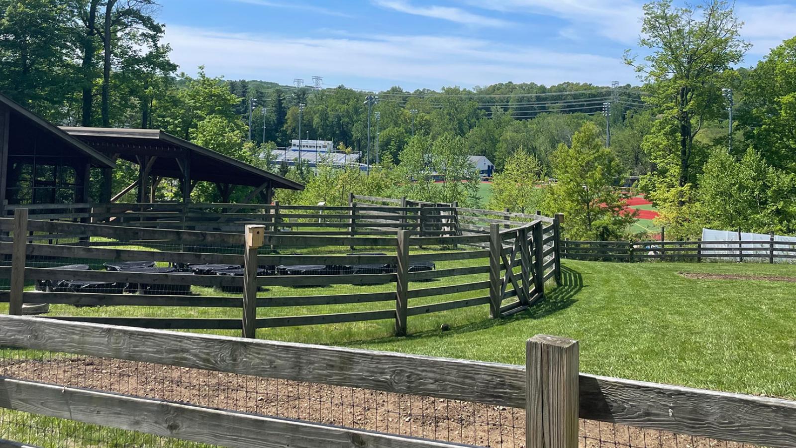 The fenced in land of the Pace University Conservation Center