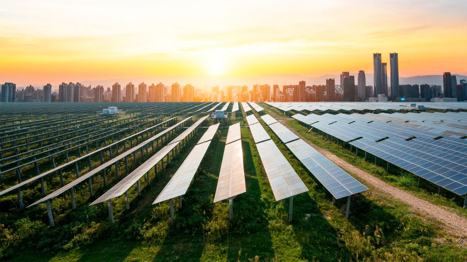 Solar energy panel farm at sunset cityscape
