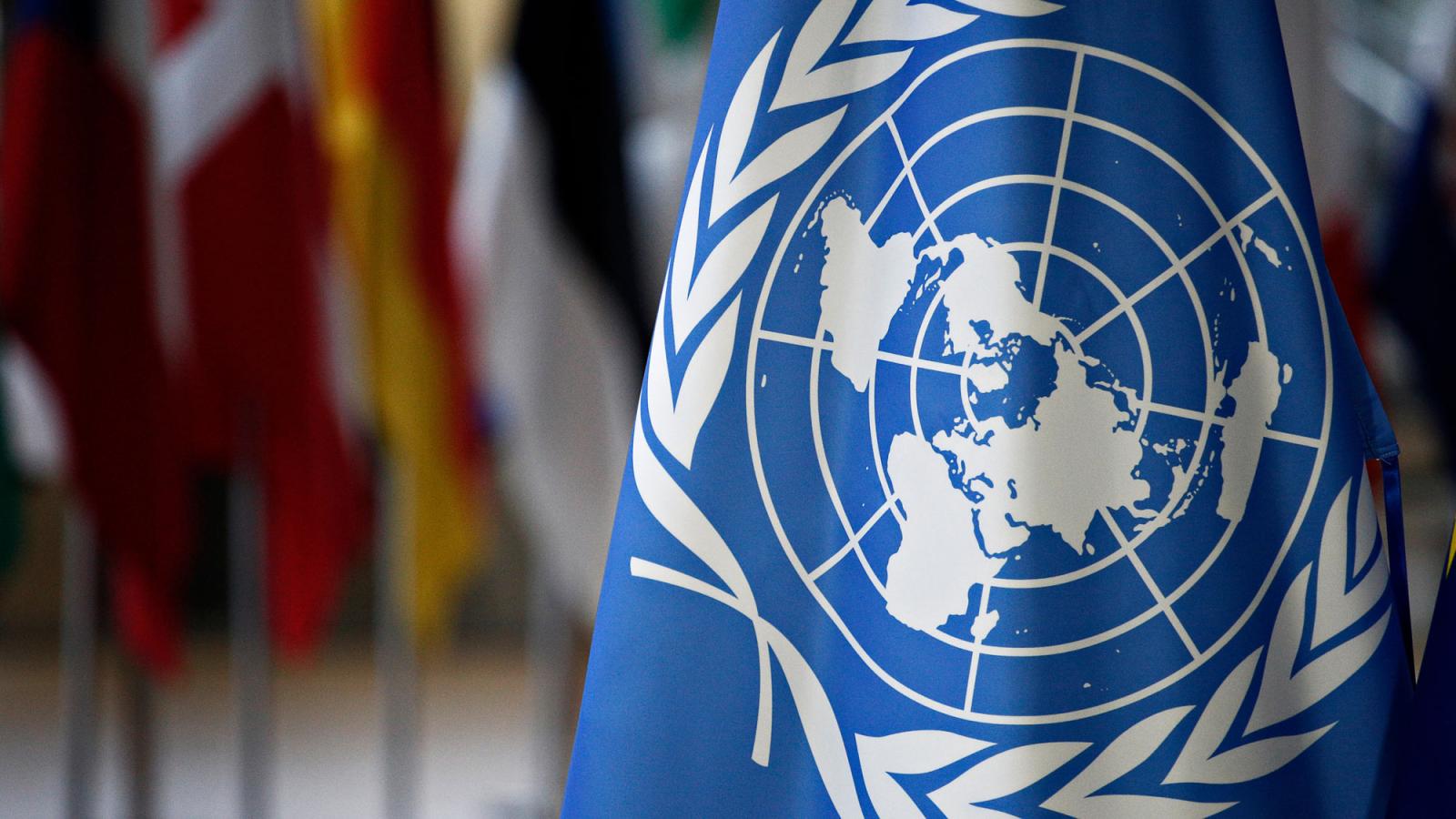 Close-up of the UN flag.