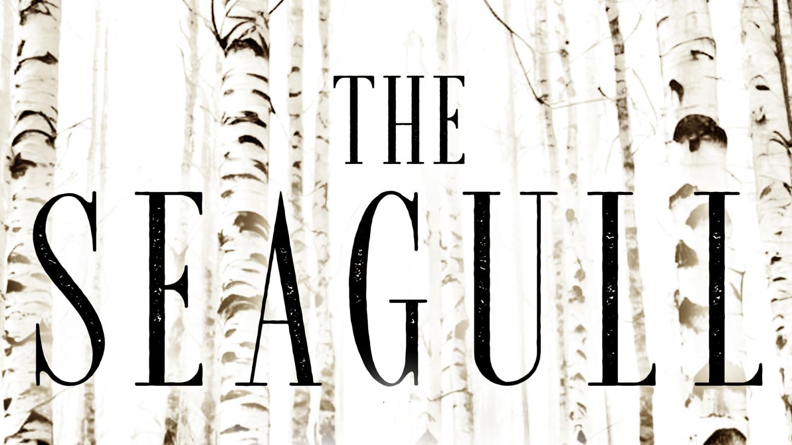 The Seagull