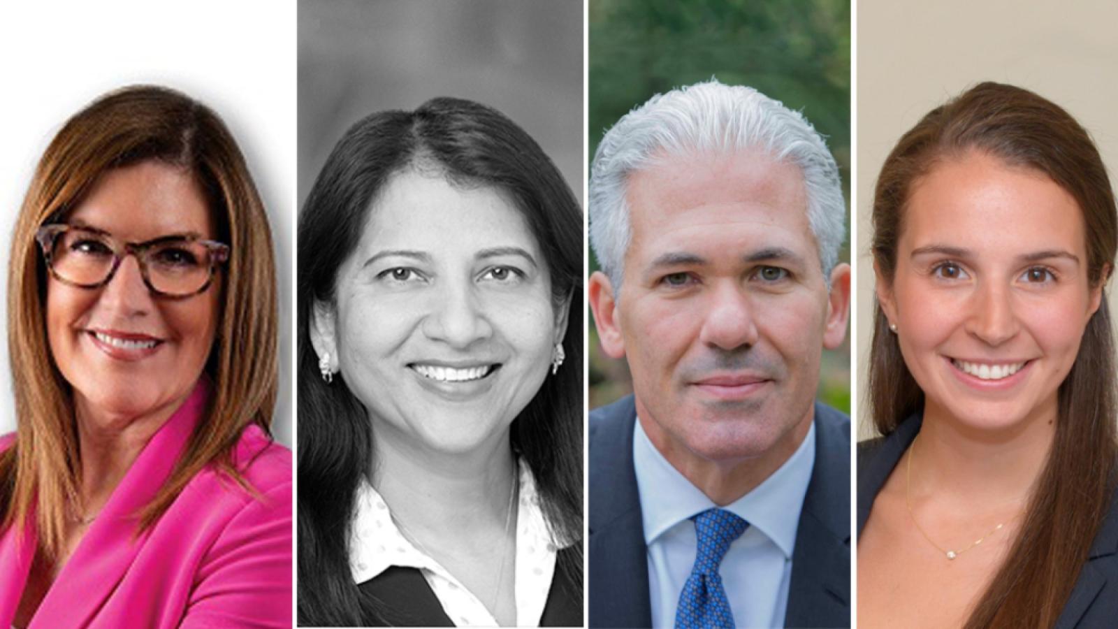 Elisabeth Haub School of Law at Pace University 2026 new Board of Visitors members