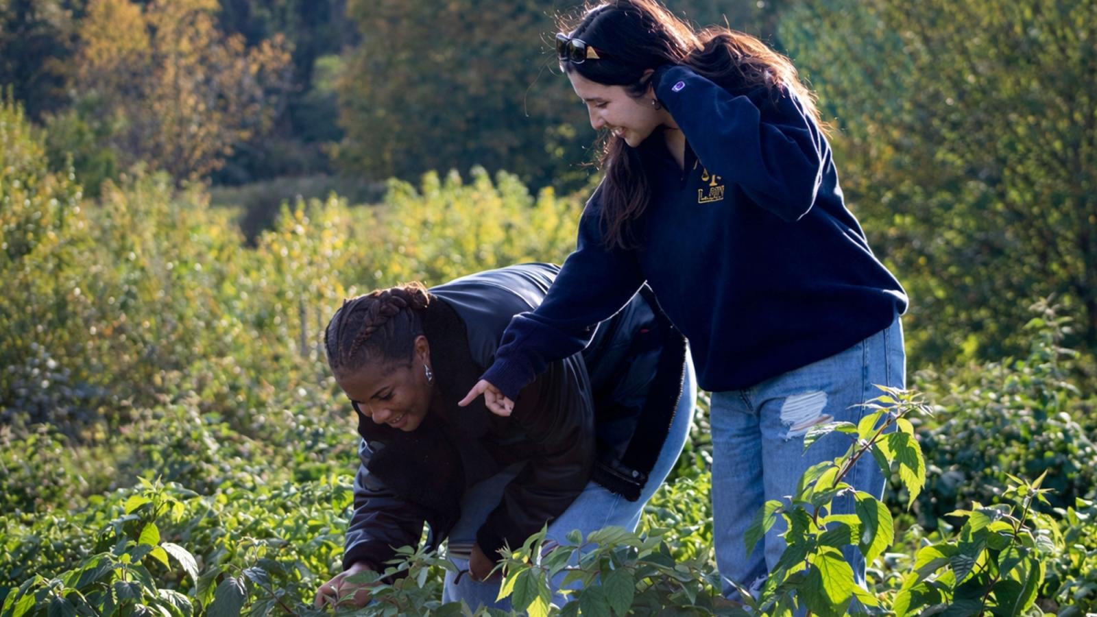 Students from Food and farm clinic in field at farm