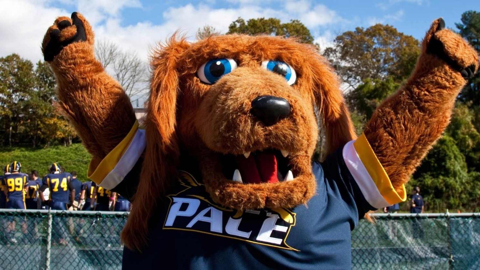 Pace University mascot, T-Bone, holding arms up