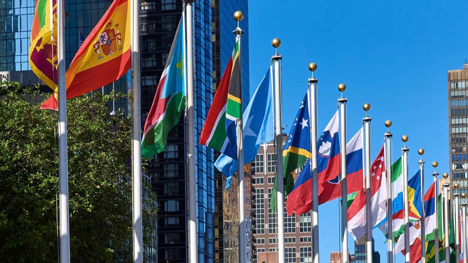 Row or world flags on a city street