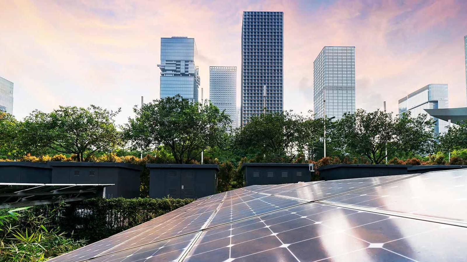Solar panels in a field with skyscrapers in the background.