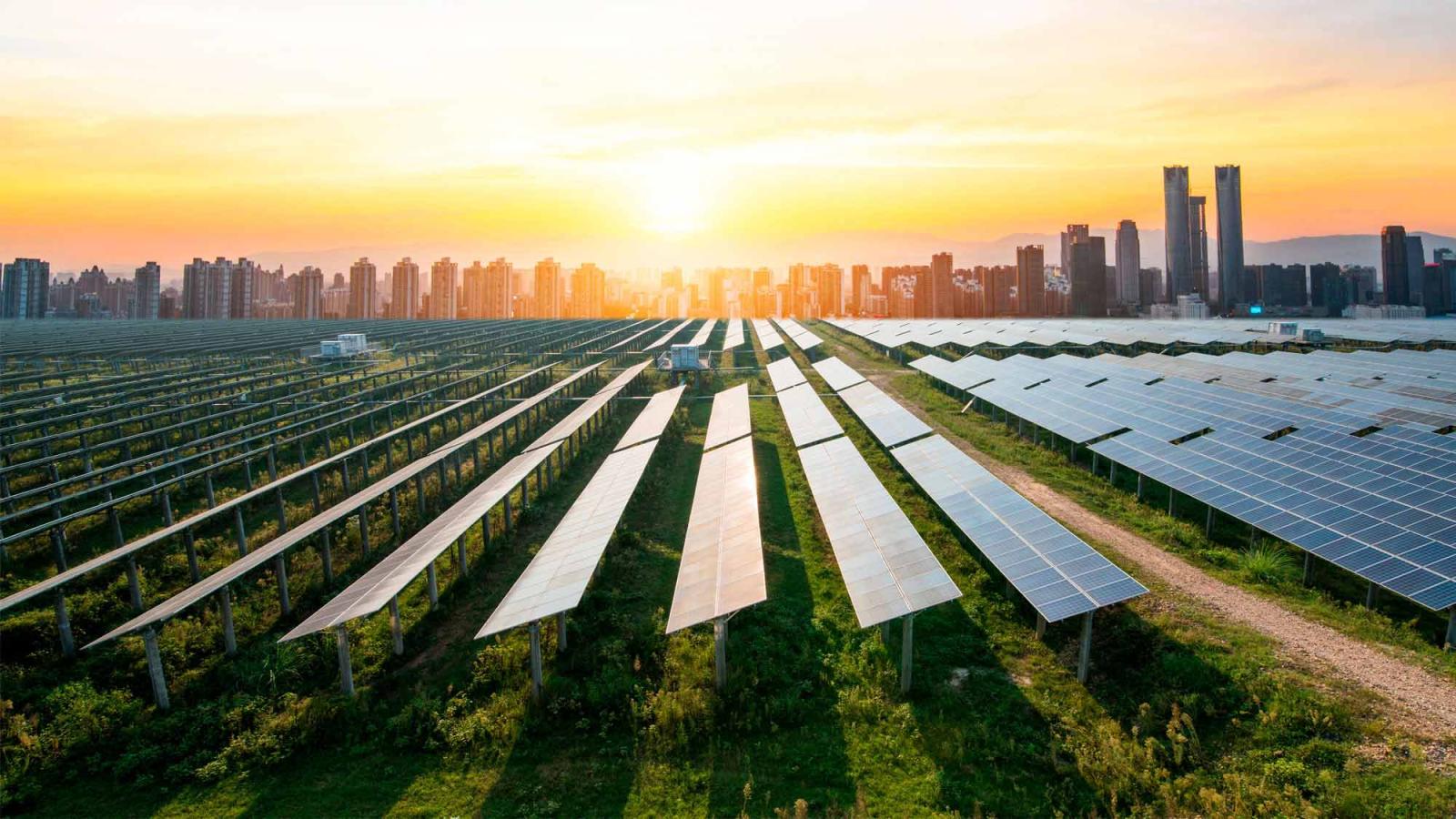 Solar energy panel farm at sunset cityscape