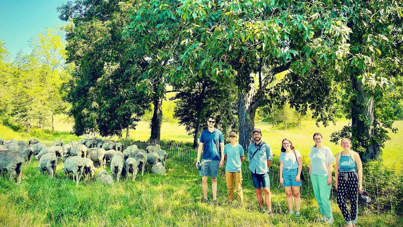 Five individuals standing in a meadow with sheep
