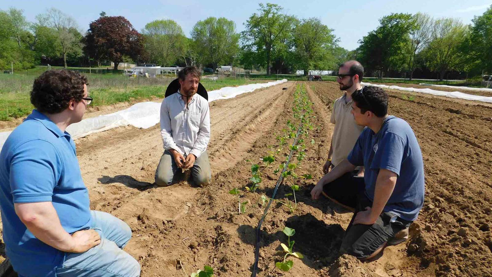 Elisabeth Haub School of Law students gathering outside around a row of crops