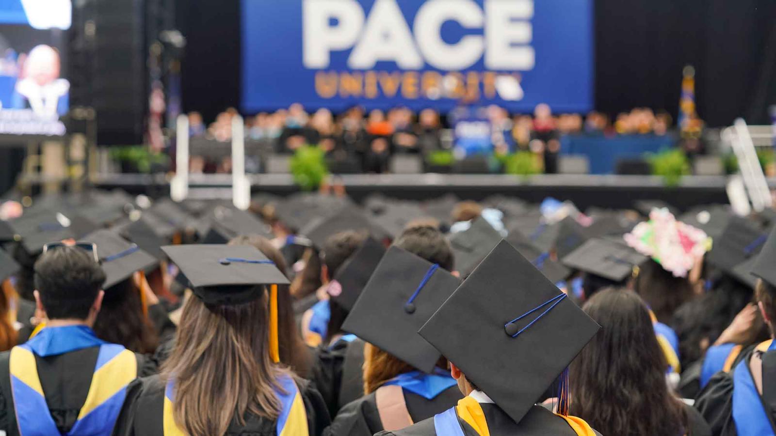 Pace University graduates are viewed from behind, we see the tops of their graduation caps