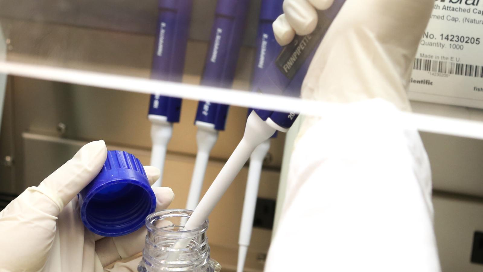 A person filling a vile in a lab.