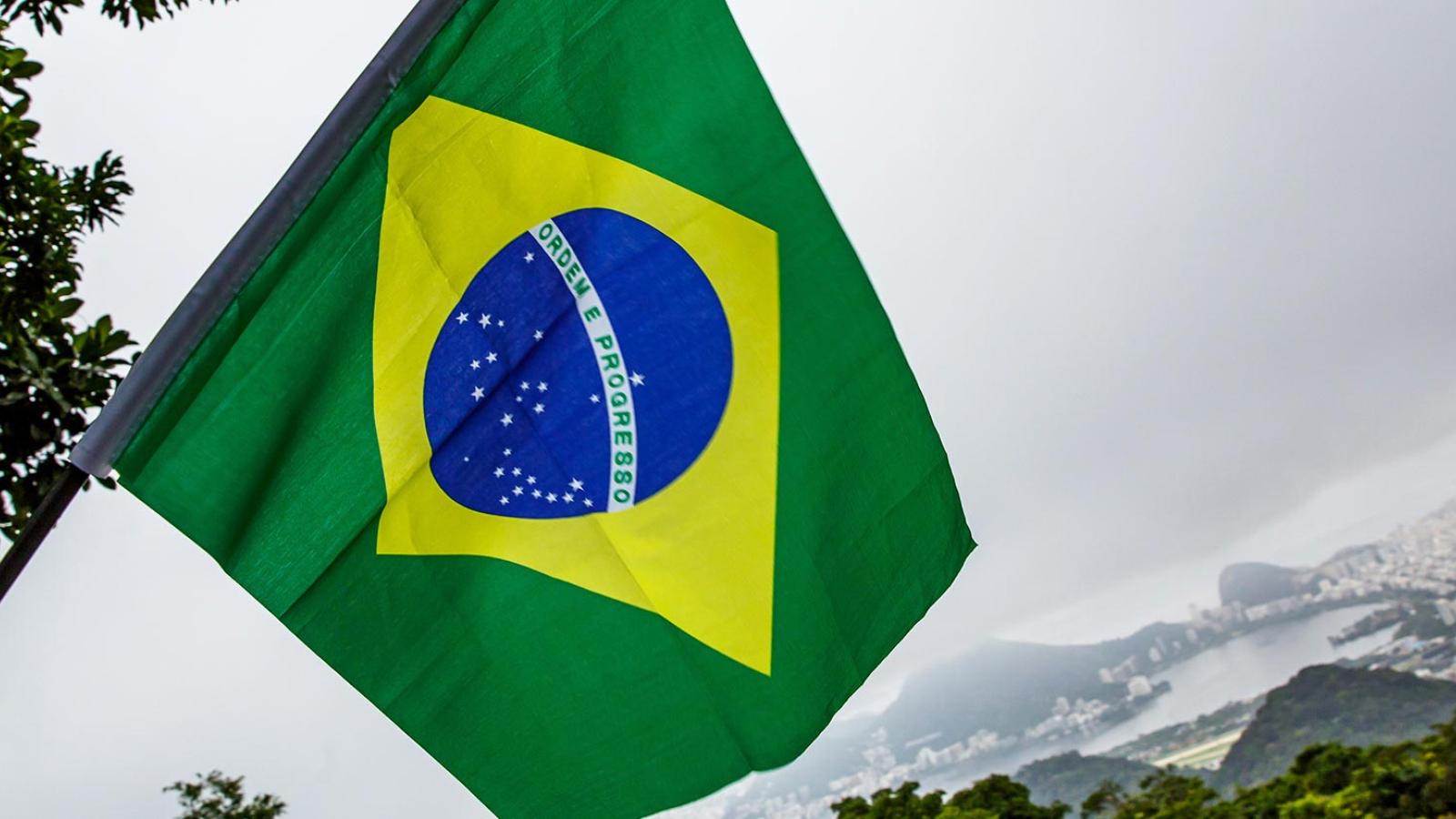 hand holding up a Brazilian flag