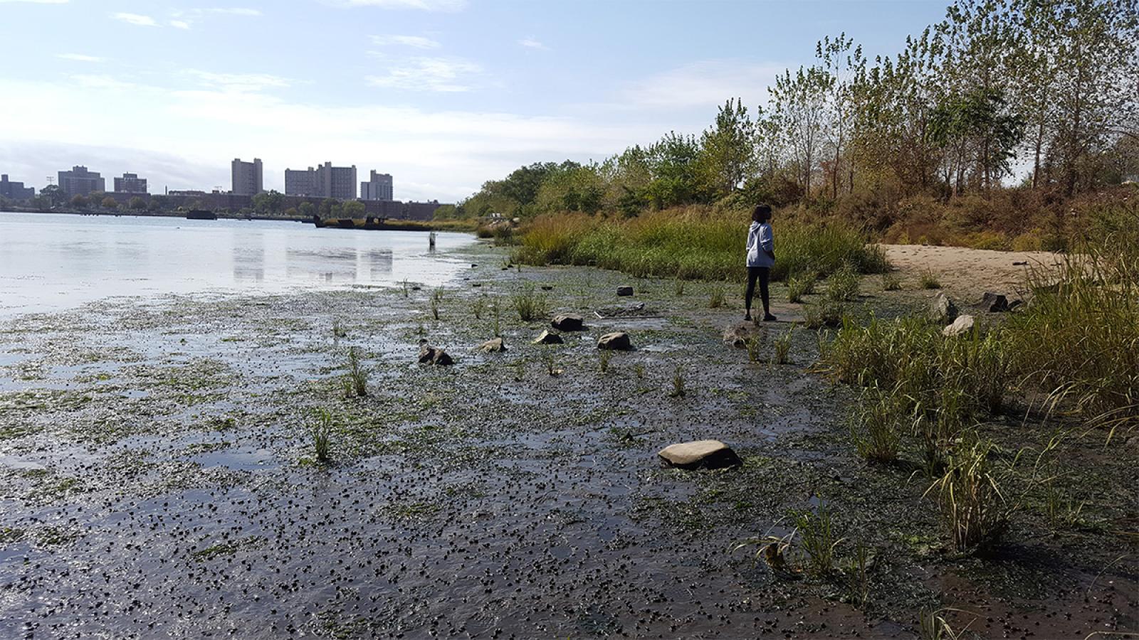 Coney Island Creek Student Walking