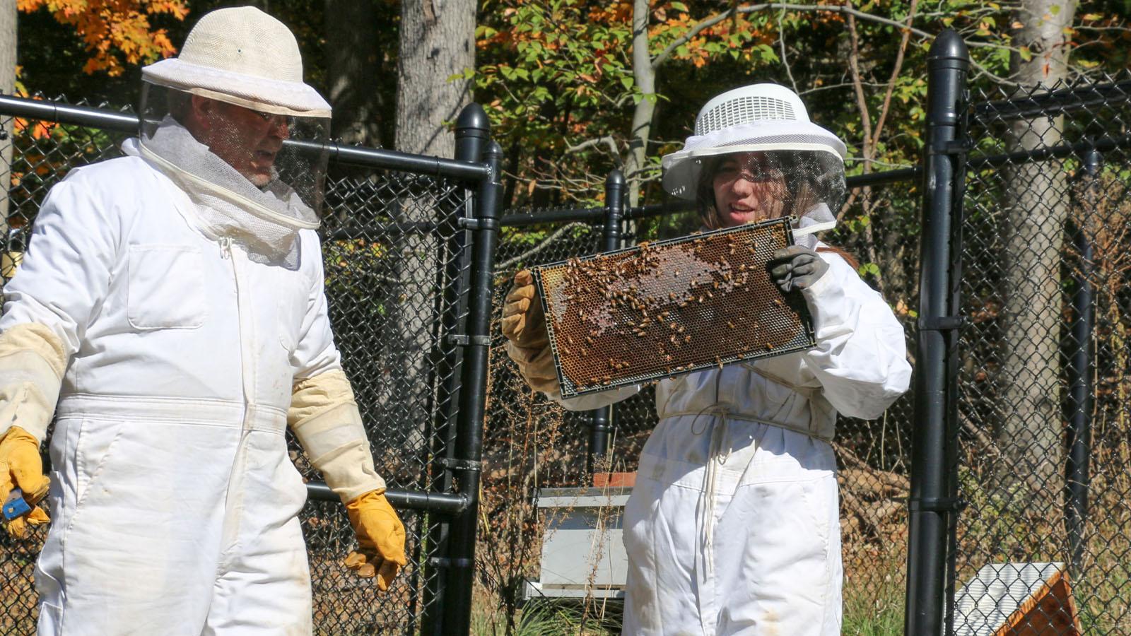 Student and professor in bee protective suits holding bee slides 