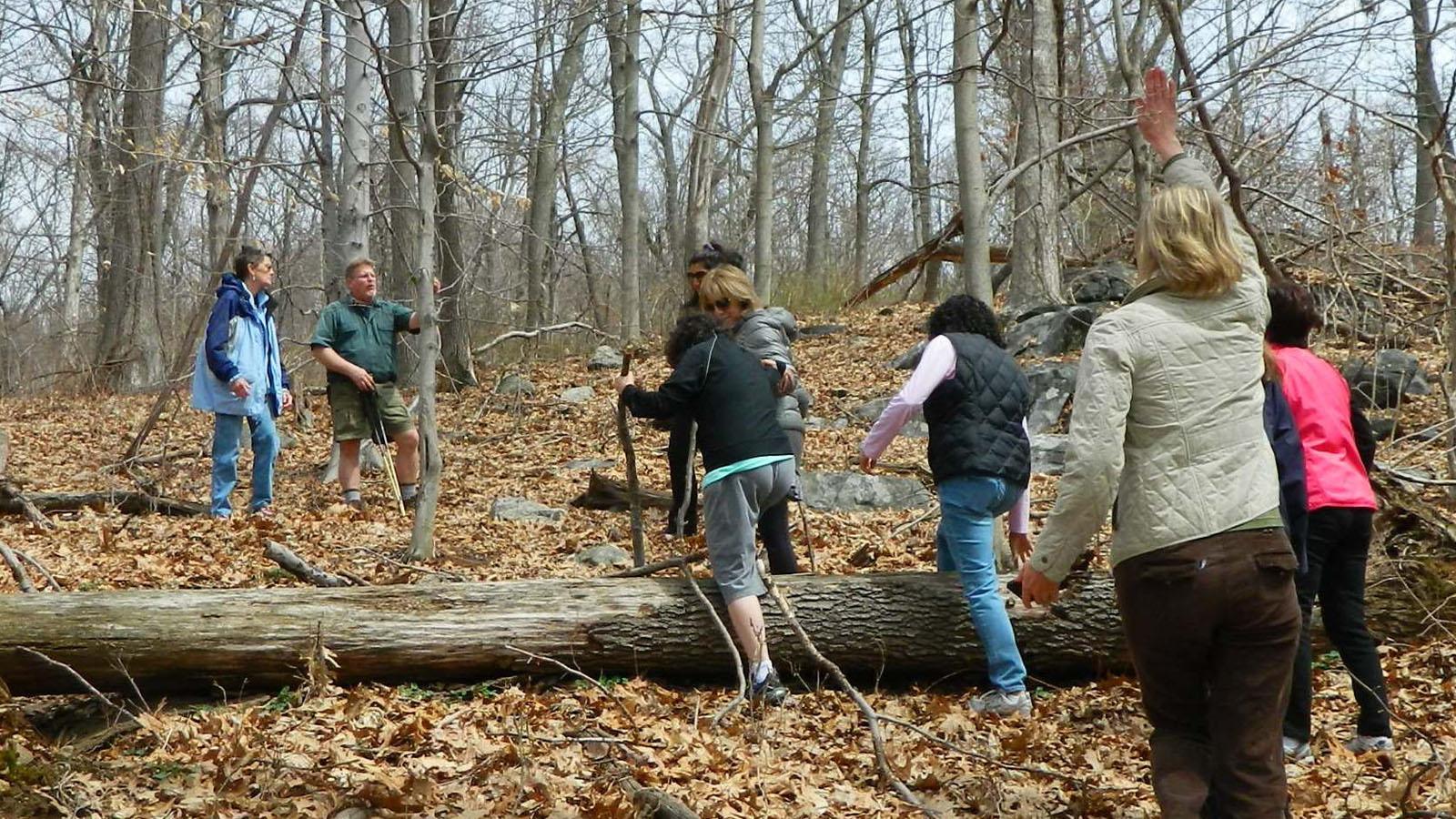 Students hiking through a Pleasantville Campus trail