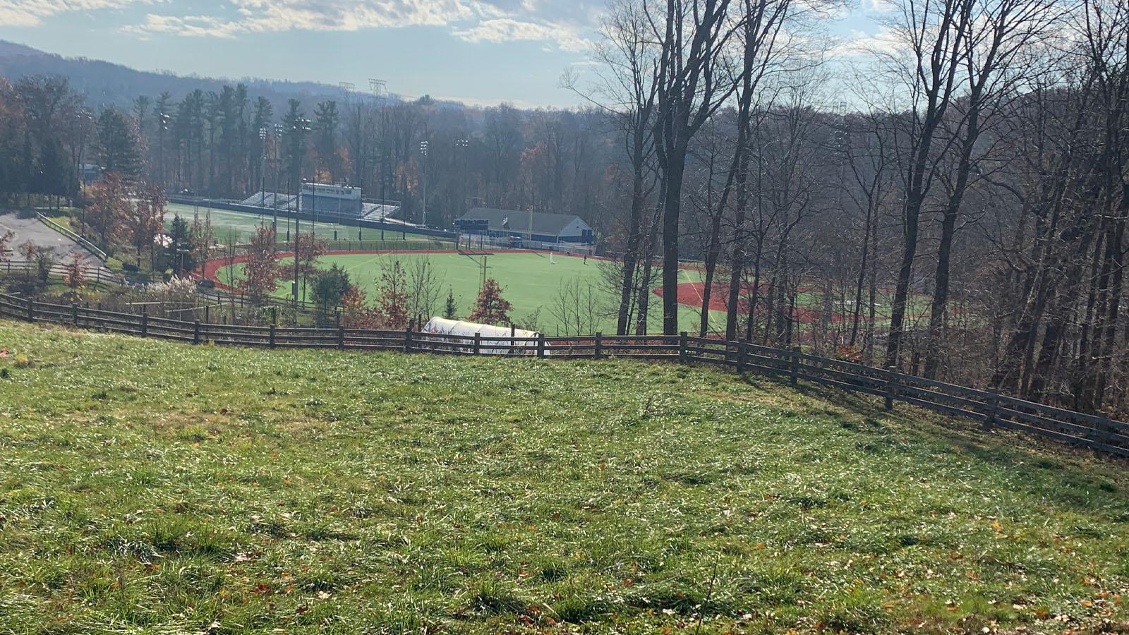 Field of greenery on Pleasantville Campus