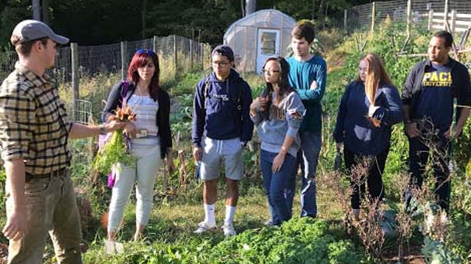 Students standing around campus vegetation