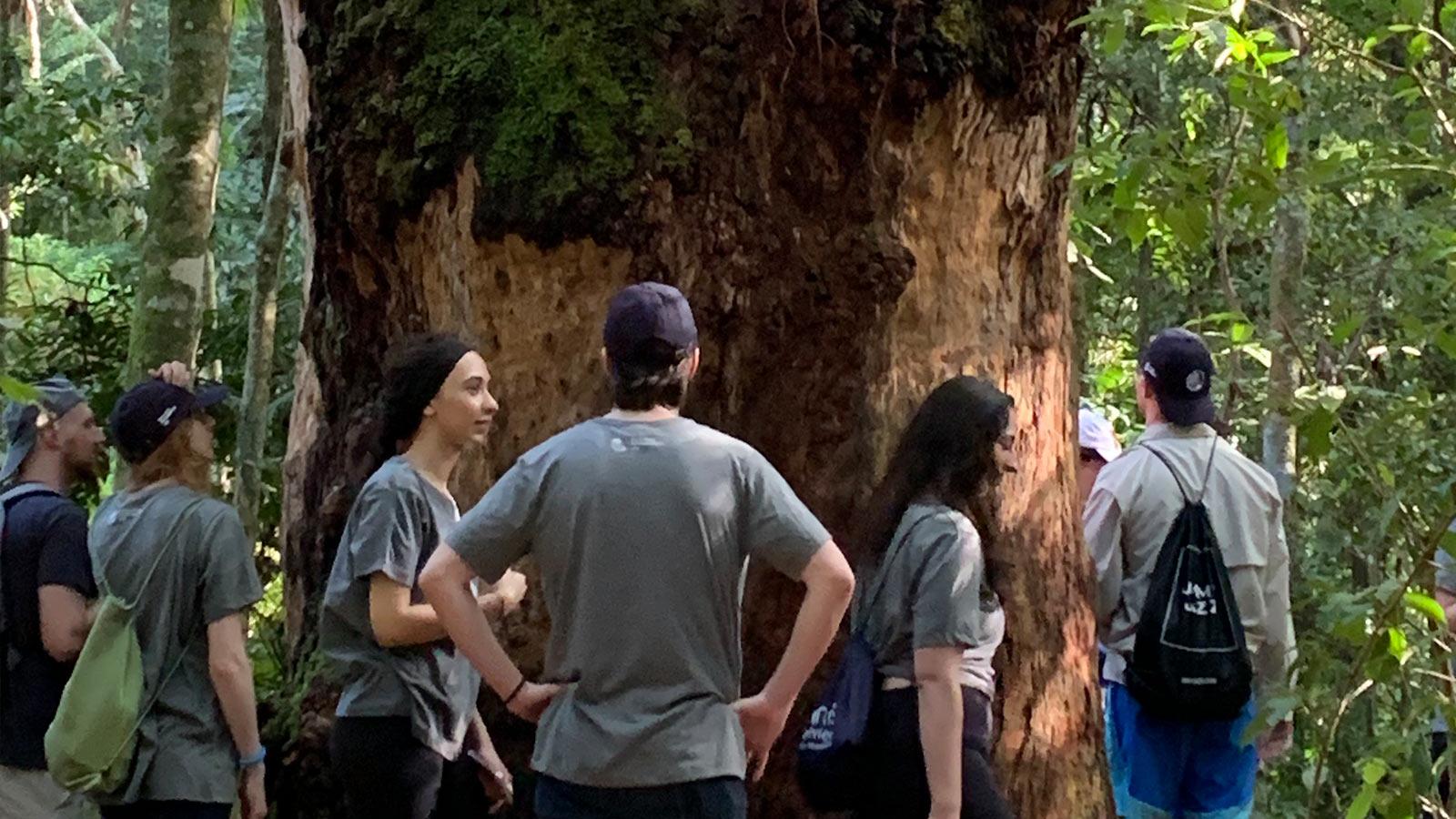 Group of Elisabeth Haub School of Law students standing around the trunk of a large tree.