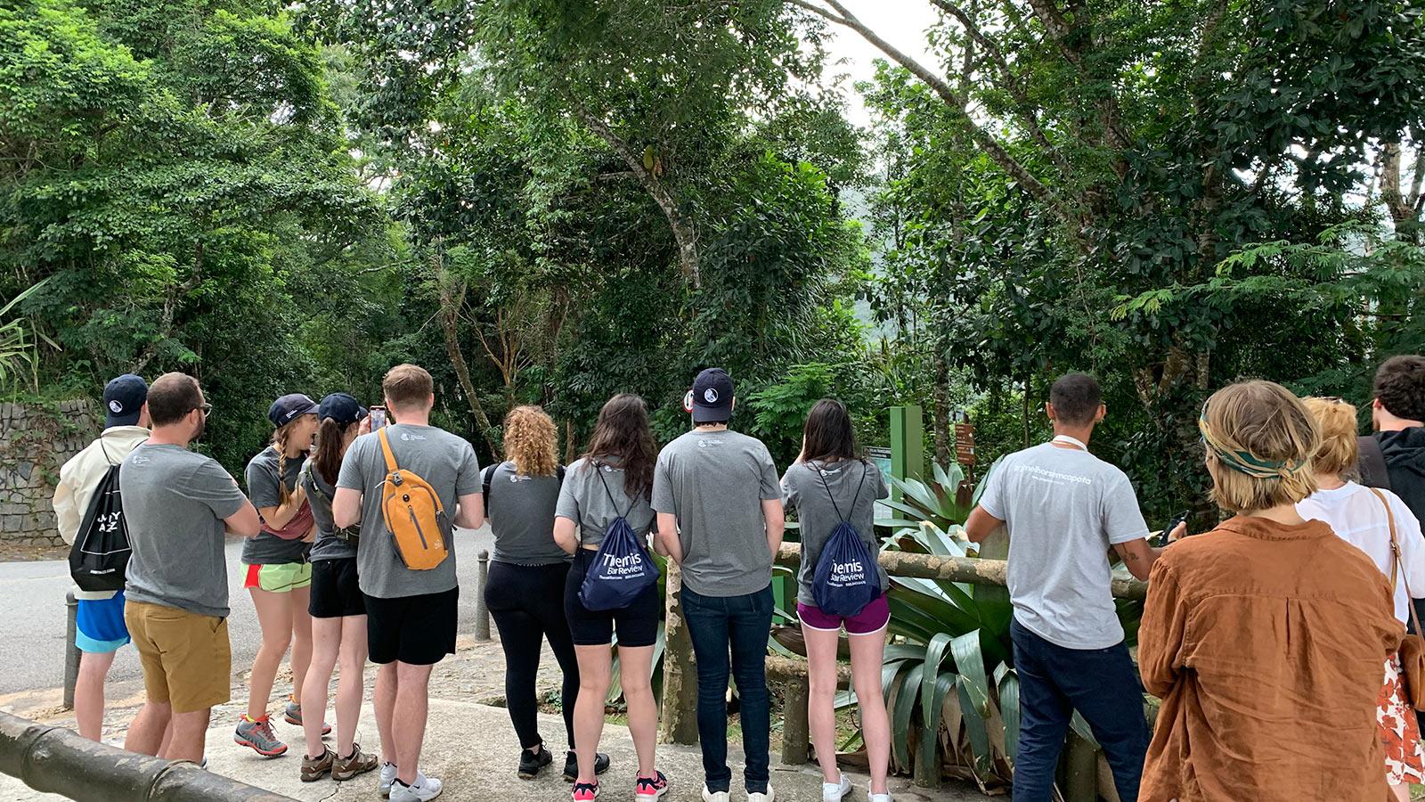 Group of Elisabeth Haub School of Law students in the rain forest taking photos