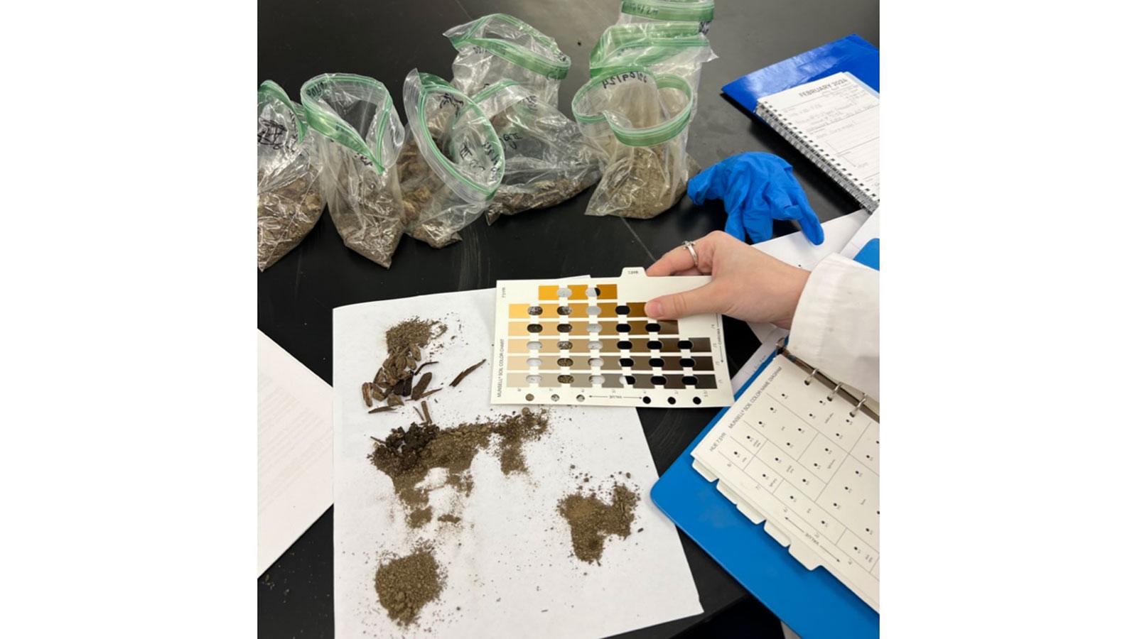 Pace University Environmental Studies and Science students analyze samples from Gotham Park in the lab.