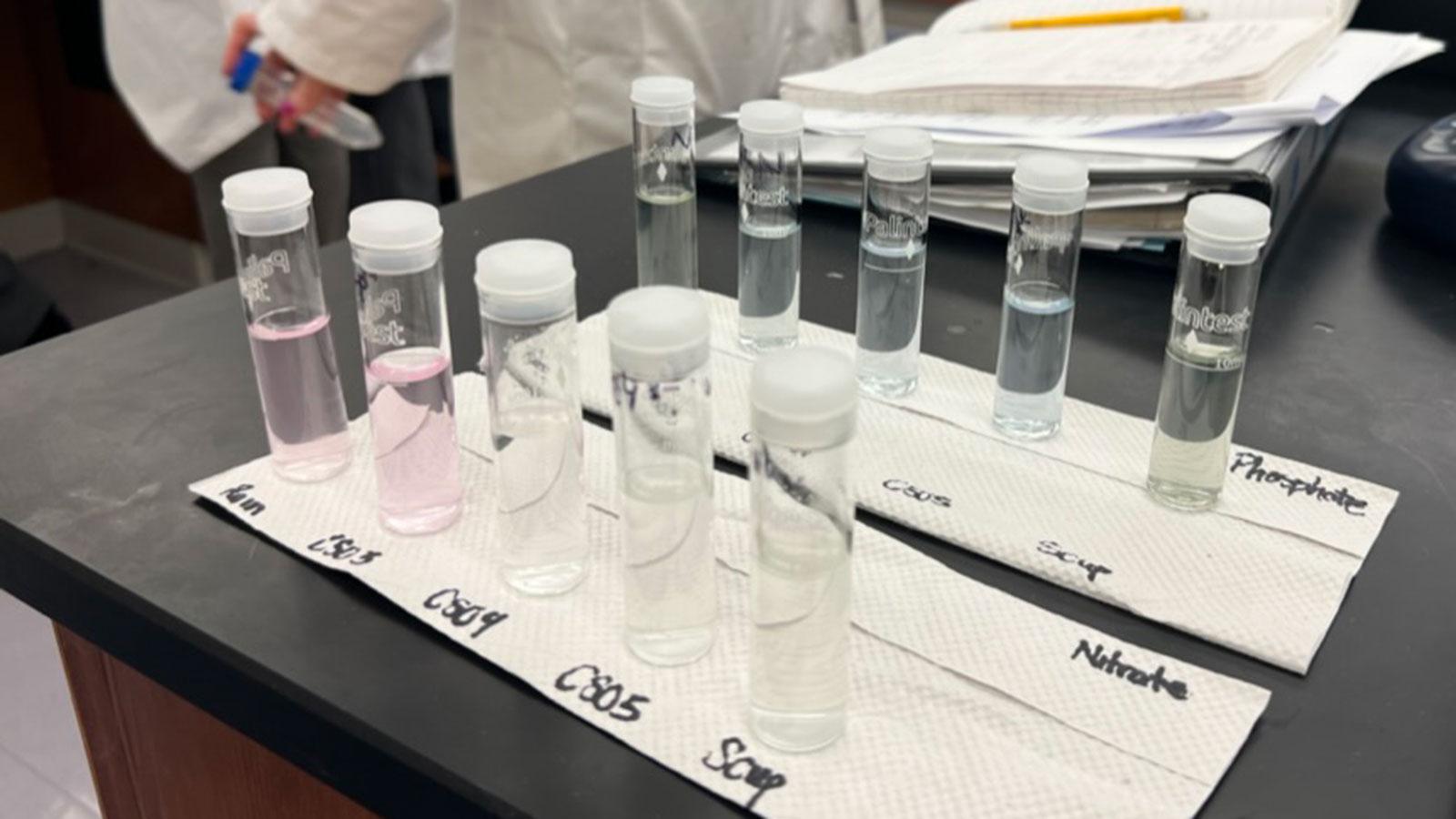 Pace University Environmental Studies and Science students analyze samples from Gotham Park in the lab.