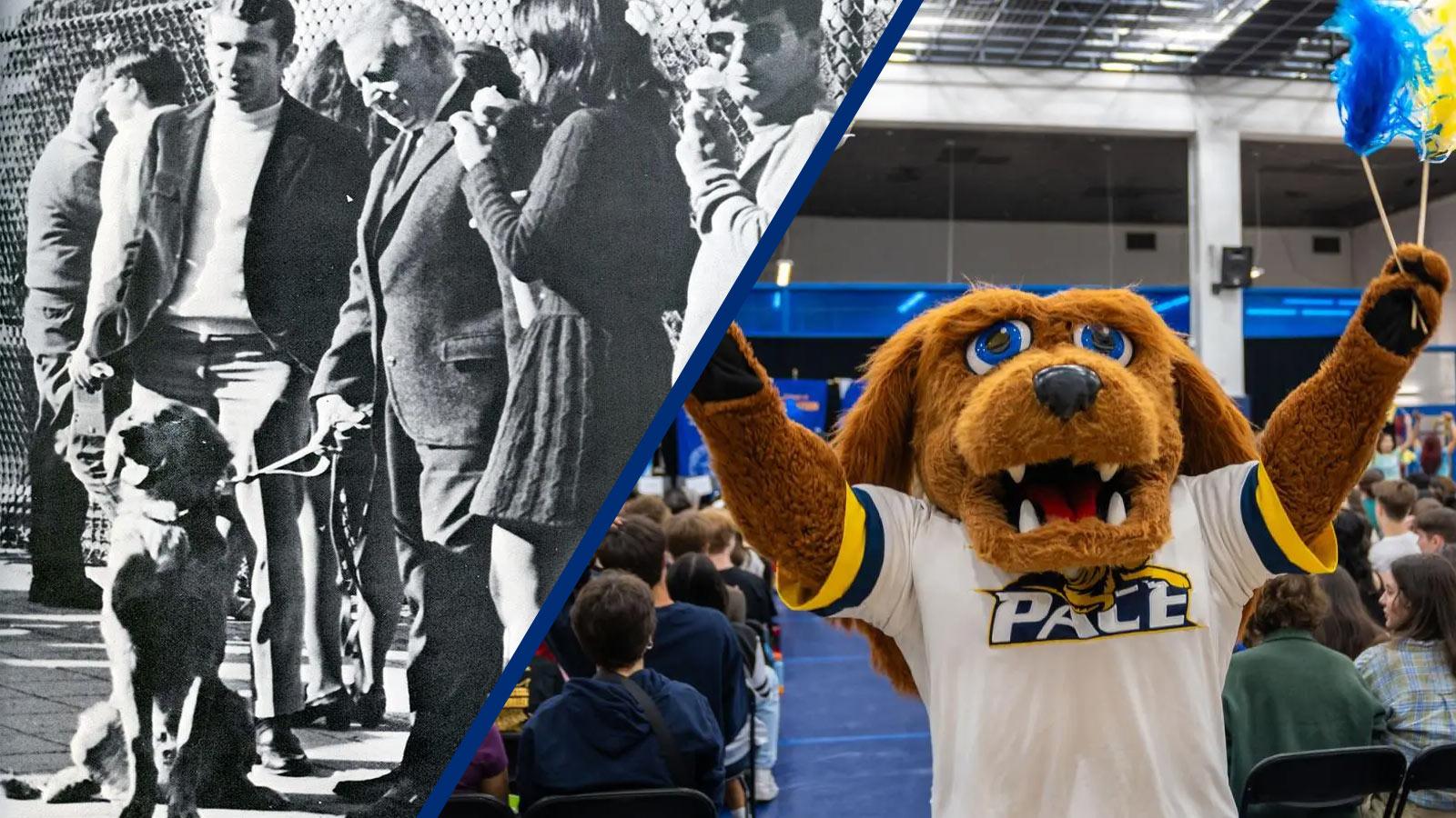 Split image of President Mortola in 1969 with his Irish Setter dog and today's T-Bone mascot.