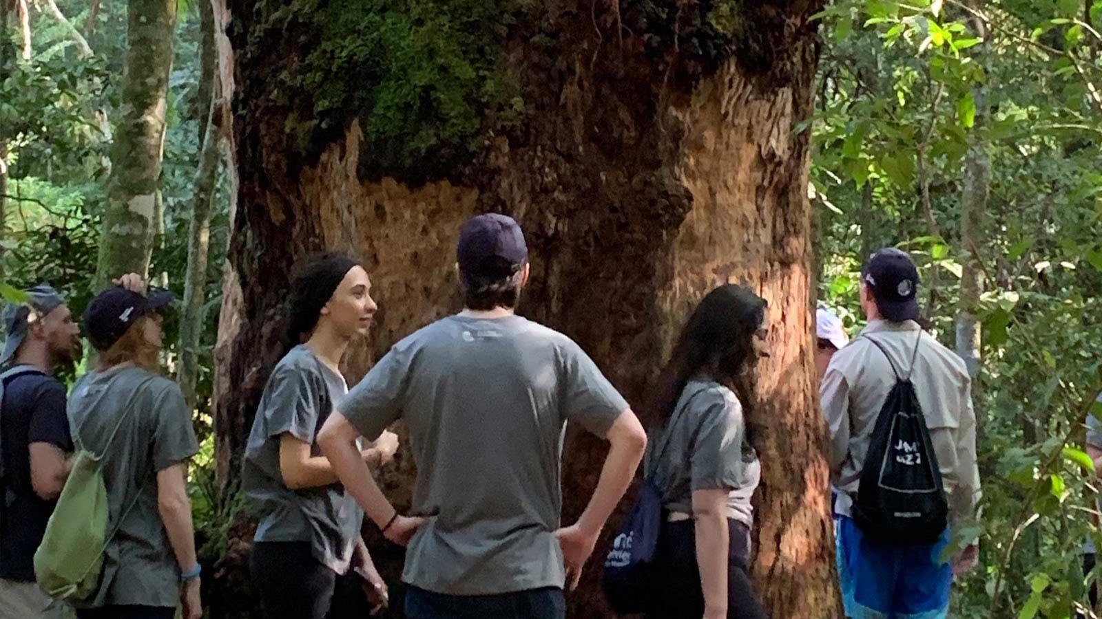 Group of Elisabeth Haub School of Law students standing around the trunk of a large tree.