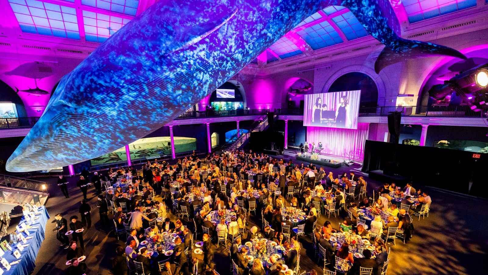 A wide shot of the 2026 Spirit of Pace Awards dinner at the American Museum of Natural History.