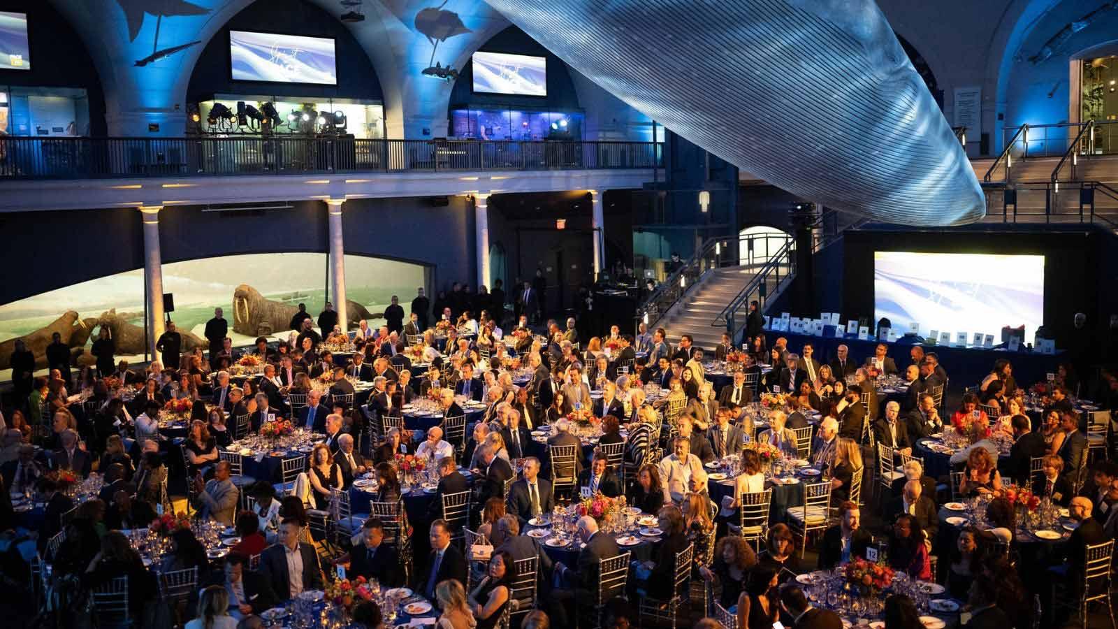 Guests enjoy the 2026 Spirit of Pace Awards dinner at the American Museum of Natural History