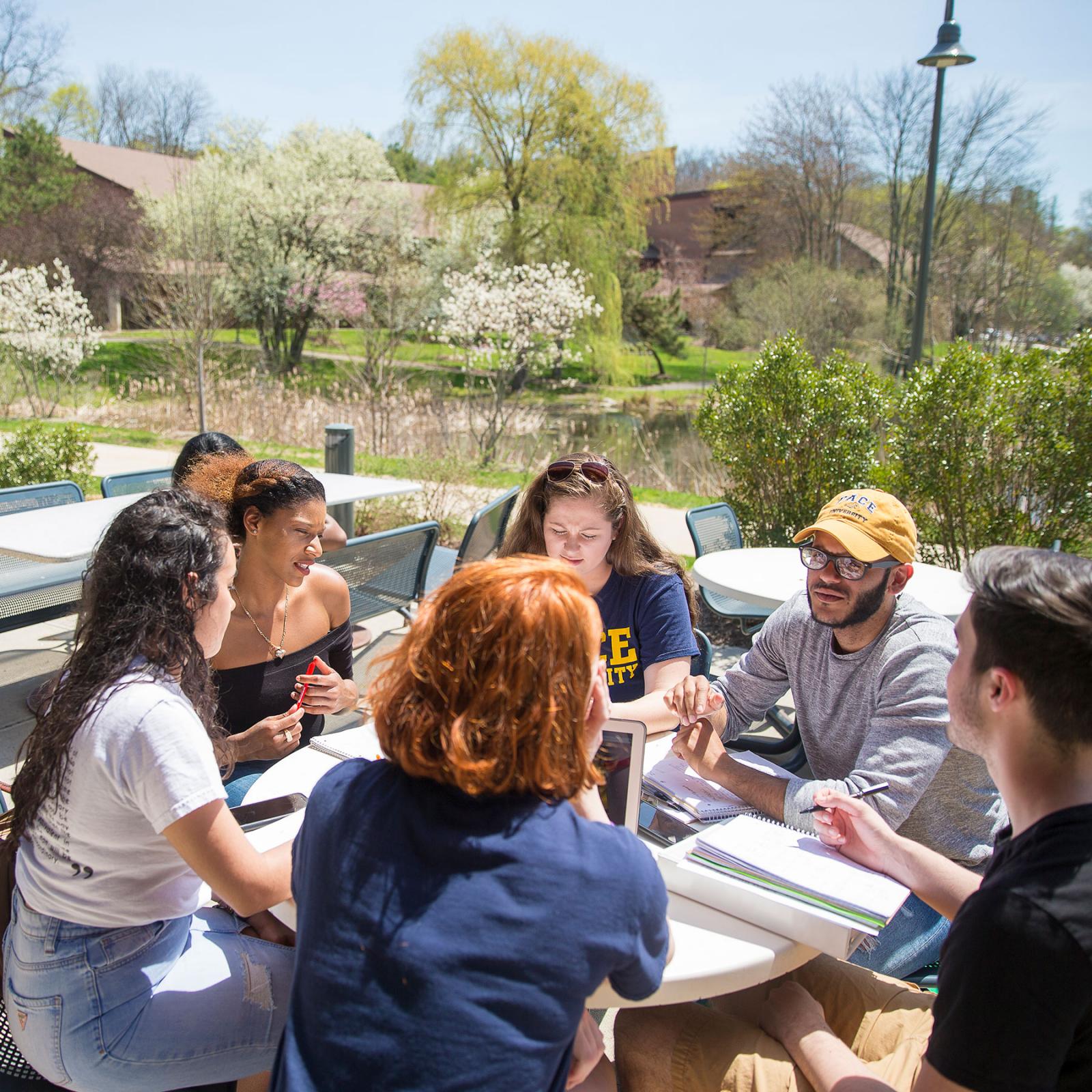 Students enjoying a sunny day and studying together at the Westchester campus.