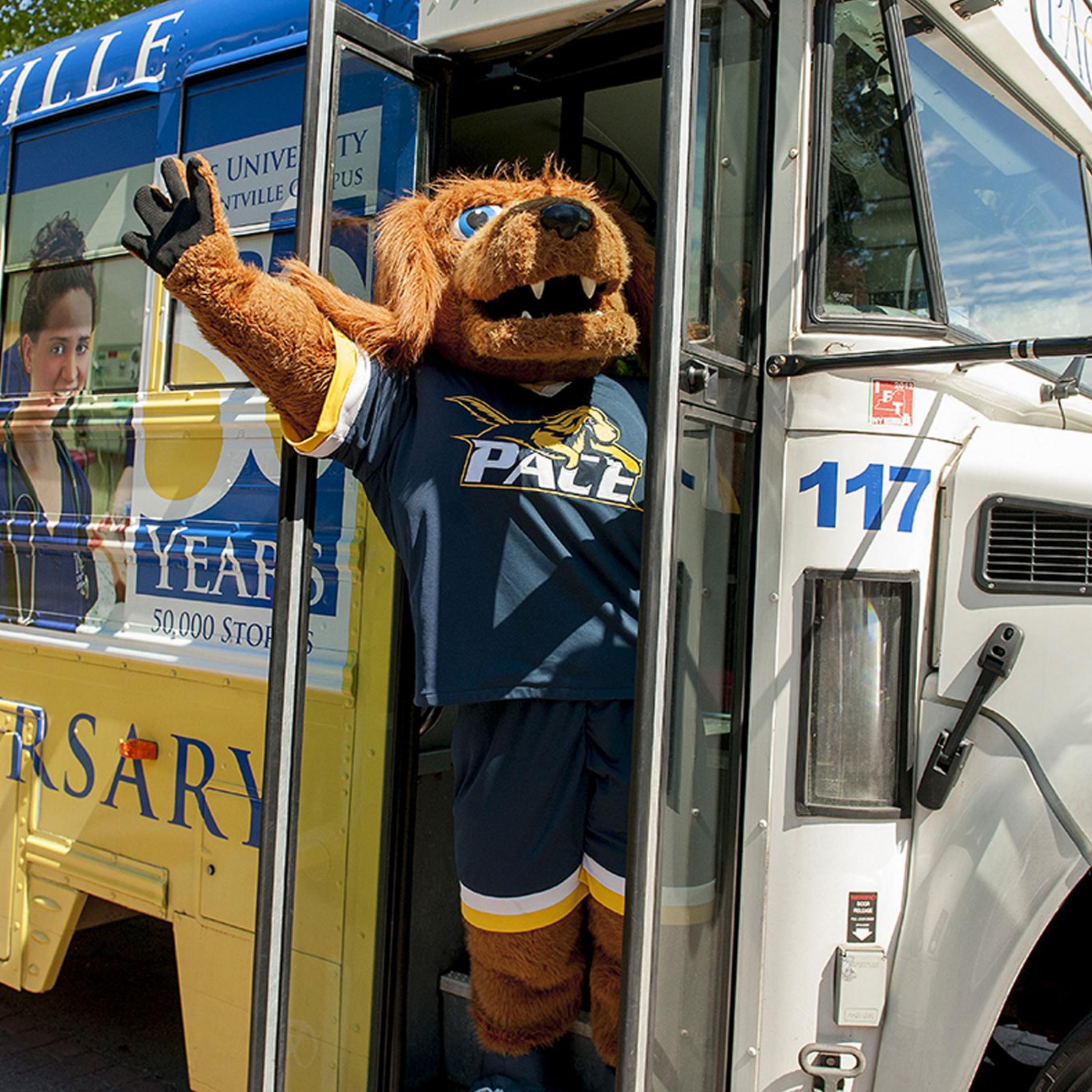 Pace University's mascot T-bone waving from a Pace shuttle bus.