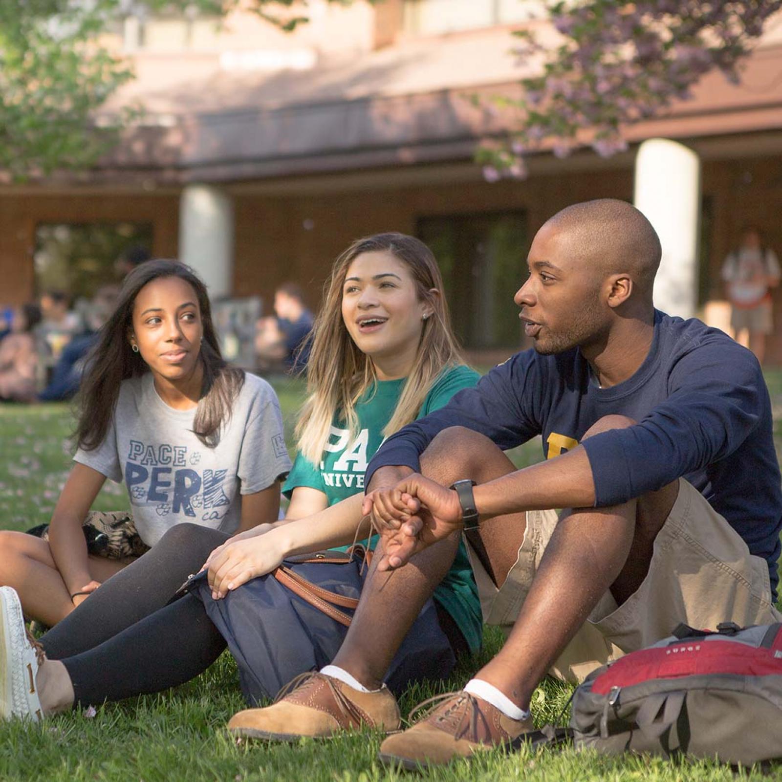 Students talking on lawn