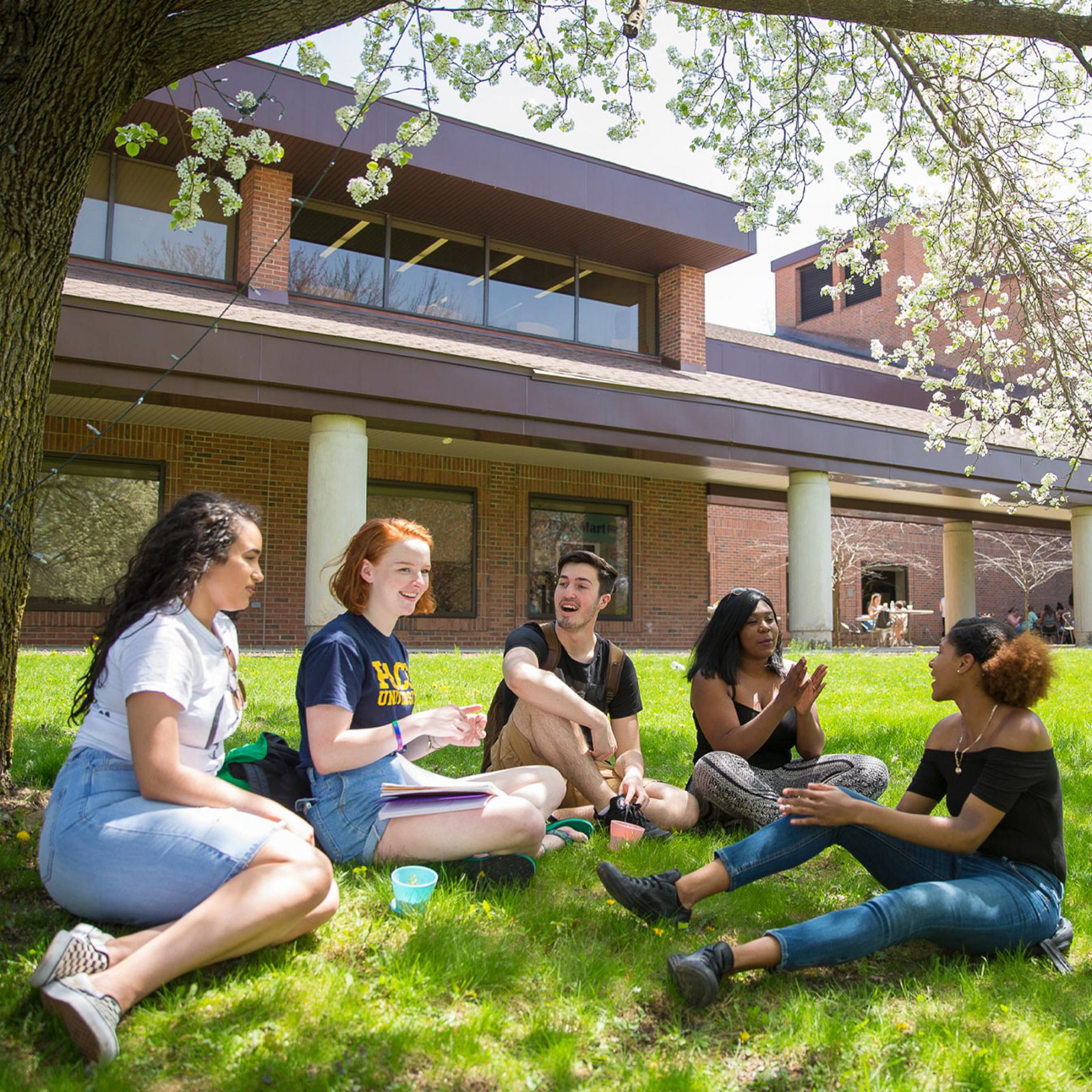 Student sitting on Pleasantville grass