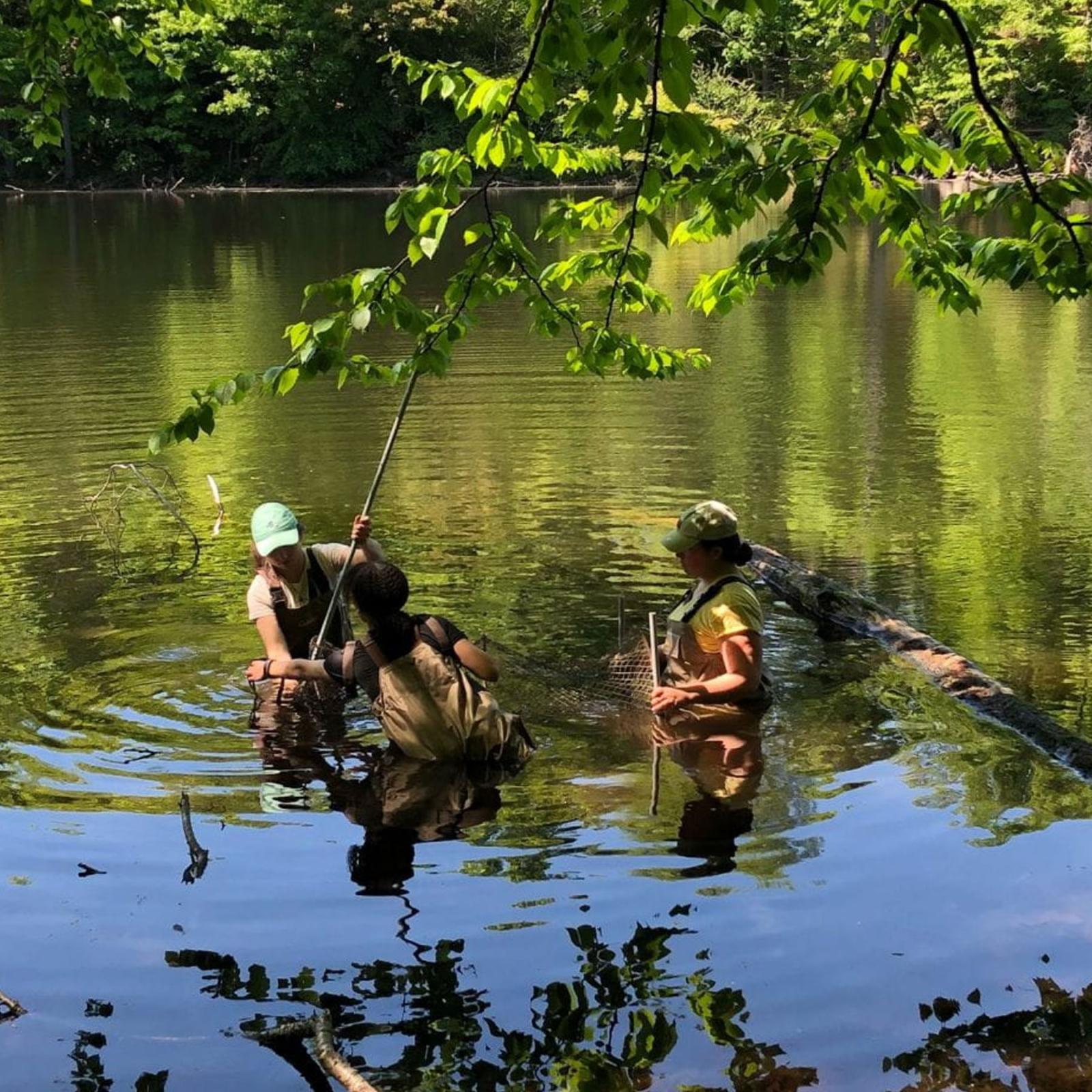 Students wading in the hudson river