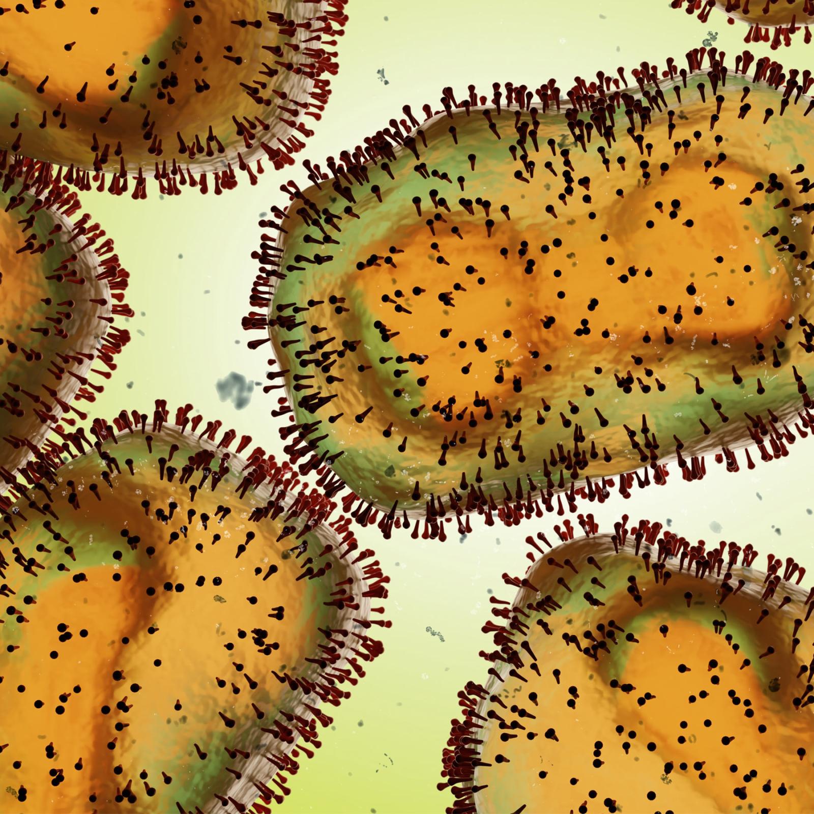 close up of monkeypox virus