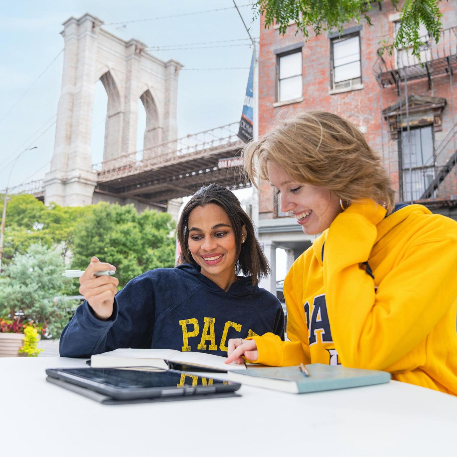 two students studying near brooklyn Bridge