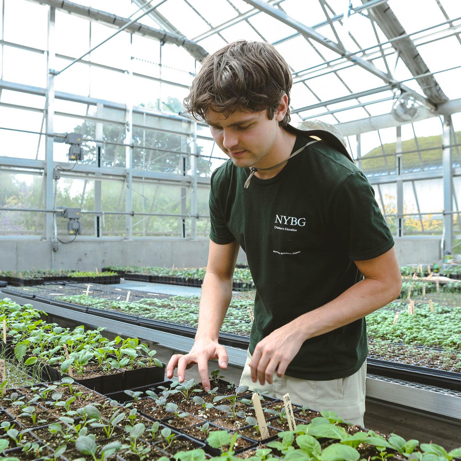 Thomas Costella '23 at internship at New York botanical garden