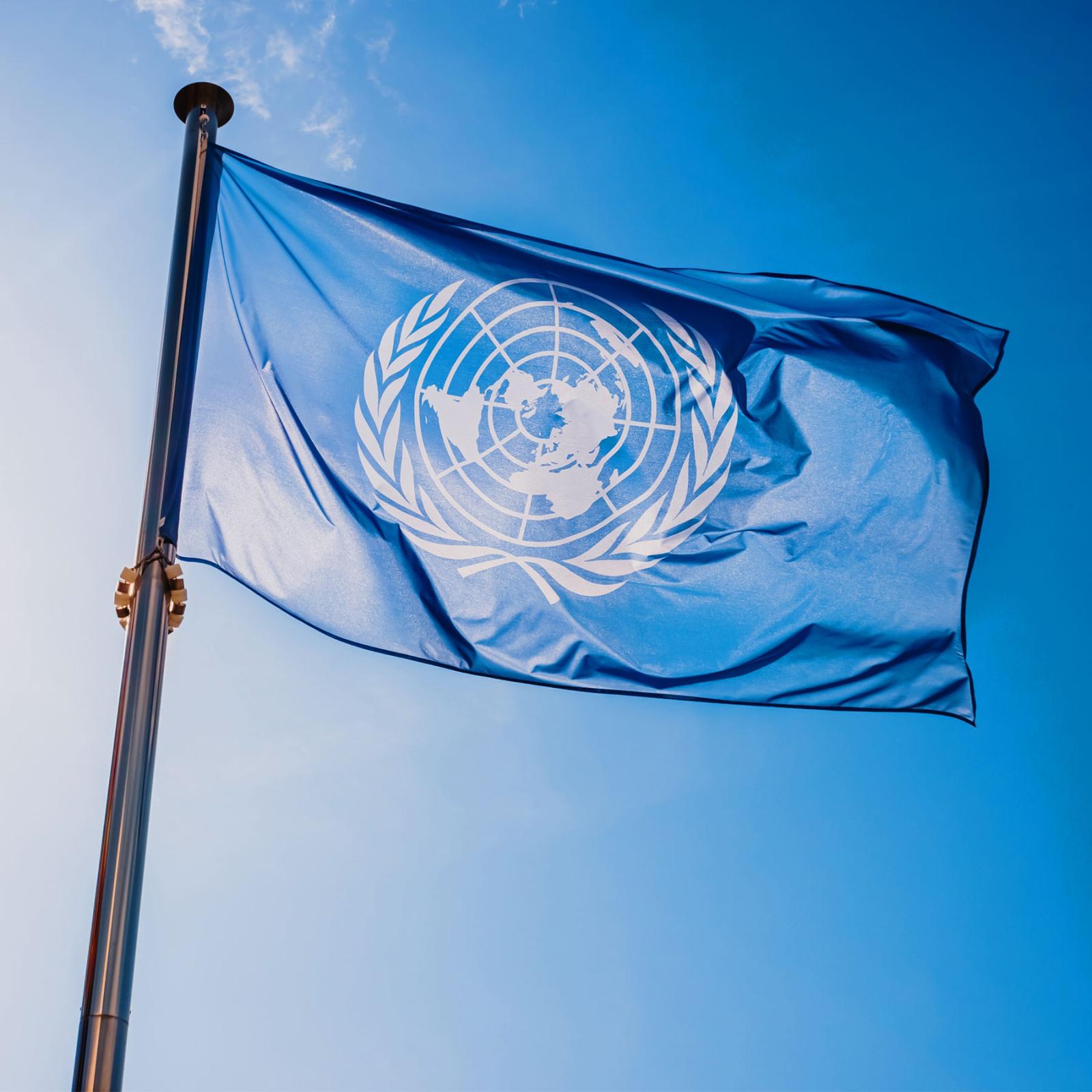 United Nations flag against a blue sky