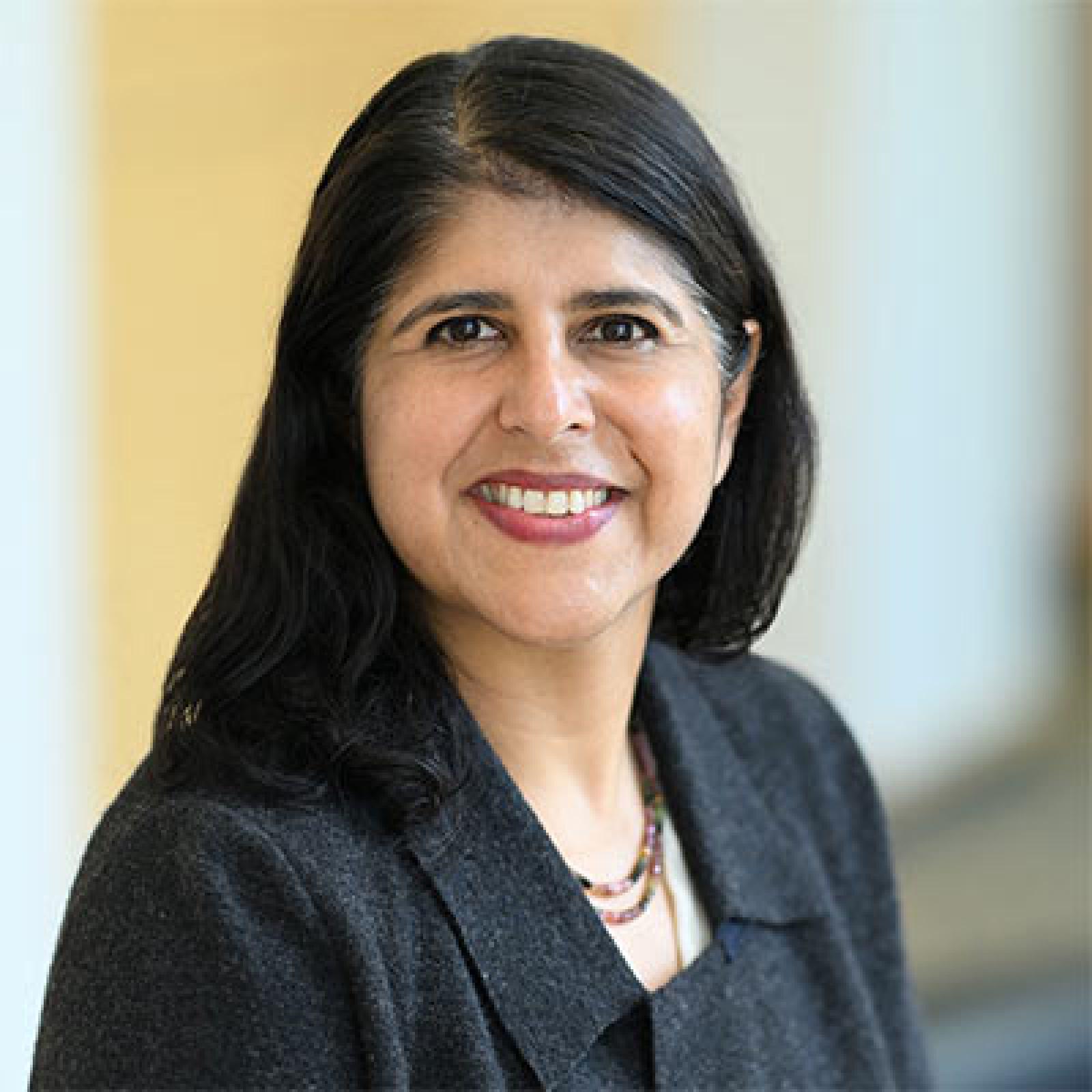 Elisabeth Haub School of Law professor, Smita Narula