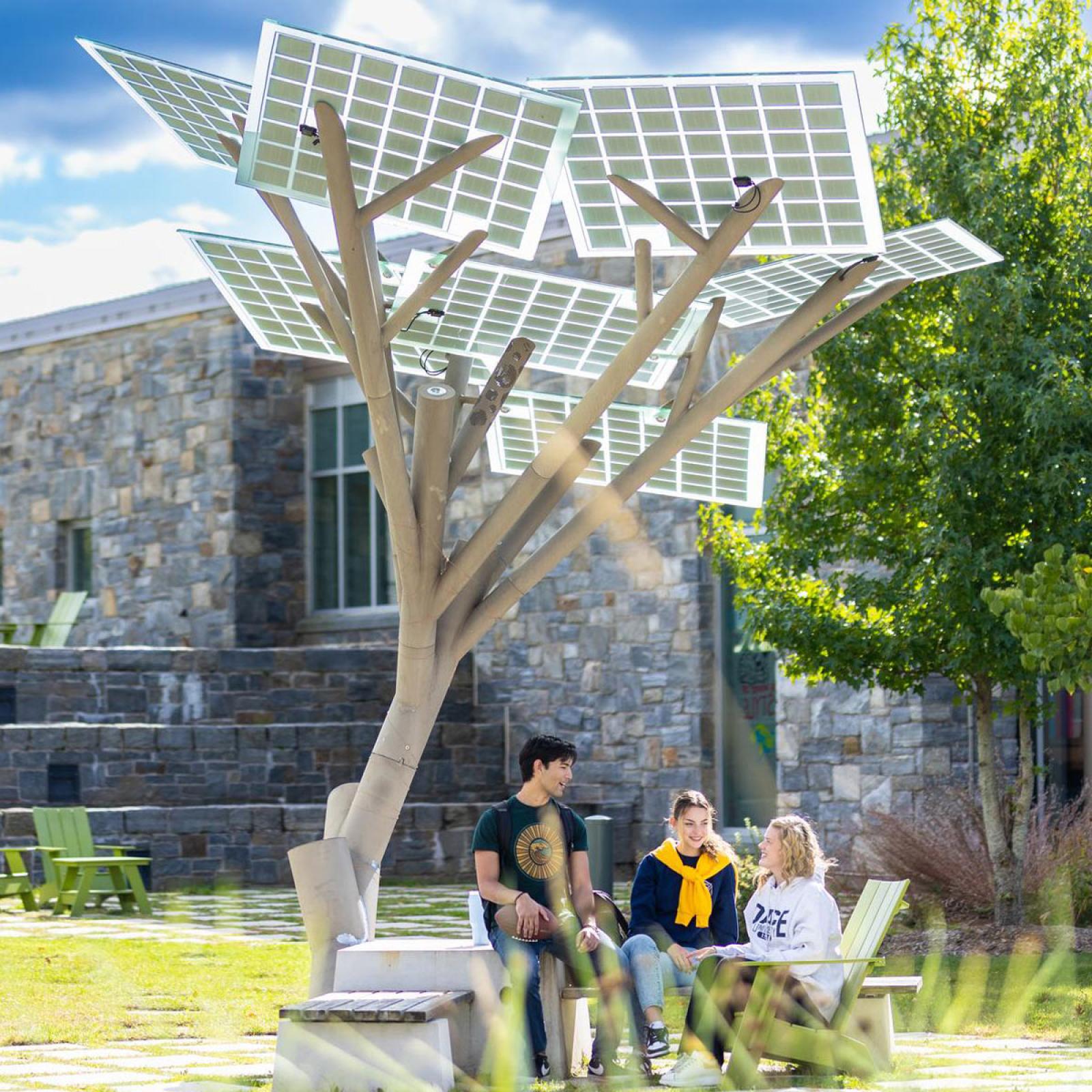 students sitting near the solar tree on the Pleasantville Campus. 