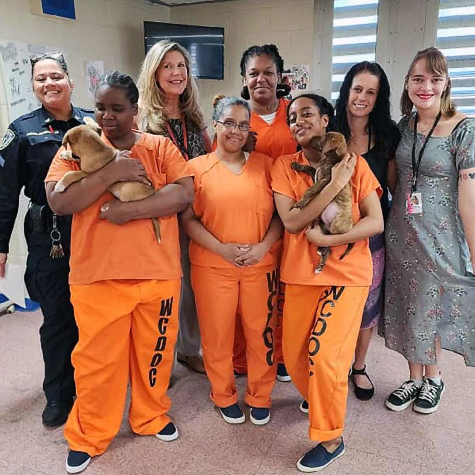Pace University Criminal Justice and Security students with incarcerated women through the Puppies on the Block program